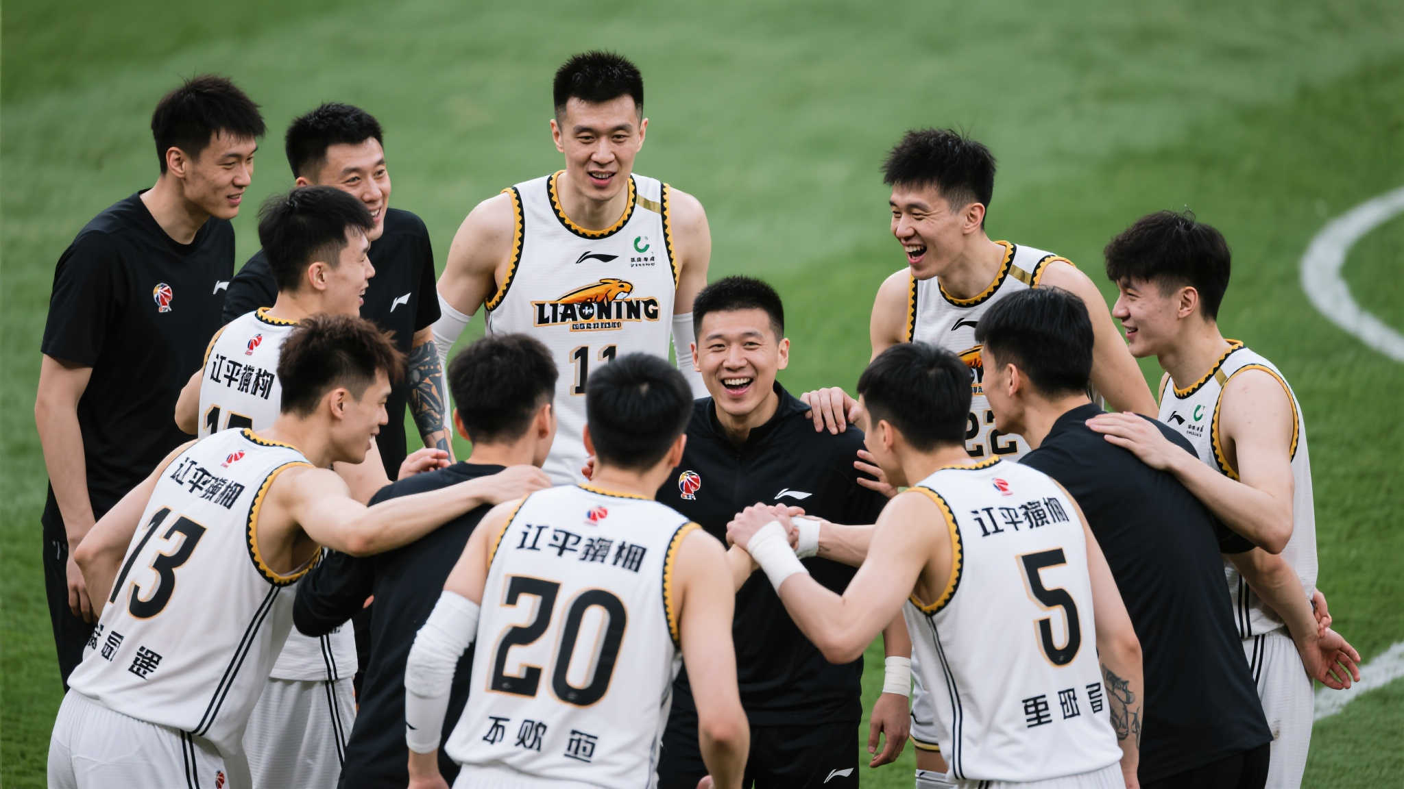 先进的草坪