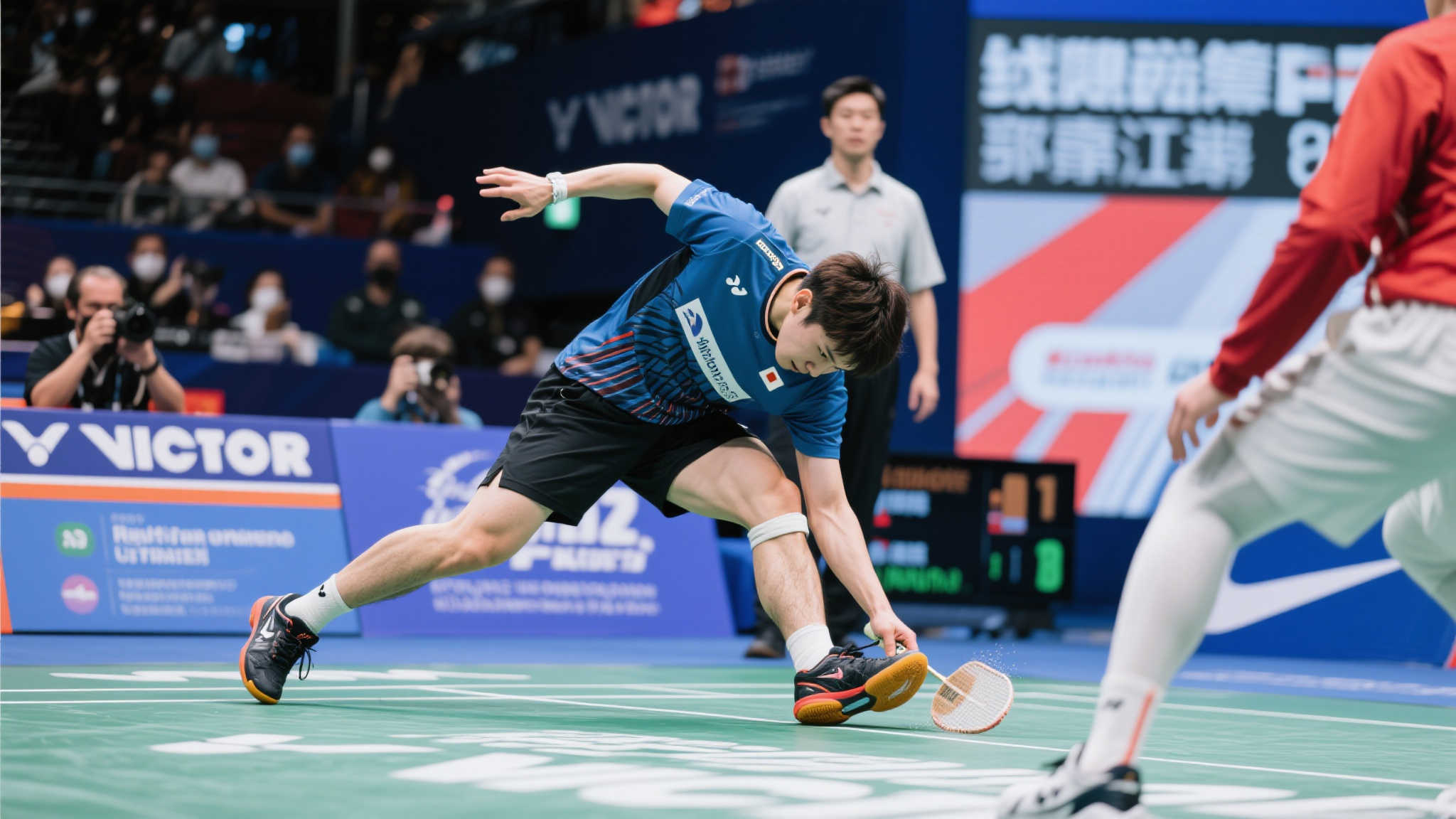 引了大量的 引了大量的