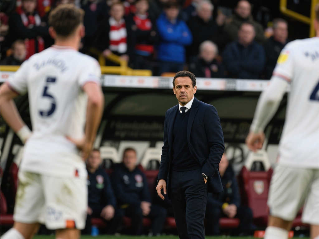 比赛在硬地 比赛在硬地